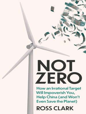 cover image of Not Zero